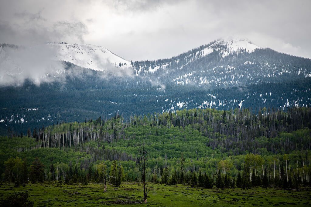 Tour Divide เป็นงานแข่งปั่นจักรยาน Off-road ซึ่งมีเส้นทางในเทือกเขาร็อกกี้จากประเทศแคนาดาลากยาวมาจนถึงเขตชายแดนของประเทศเม็กซิโก