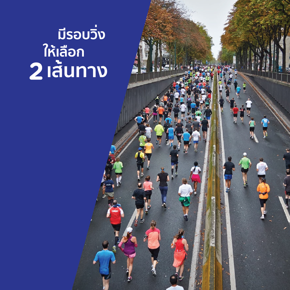 6 สิ่งที่ต้องรู้เกี่ยวกับมาราธอนระดับโลกก่อนโอลิมปิก | Tokyo Marathon 2020