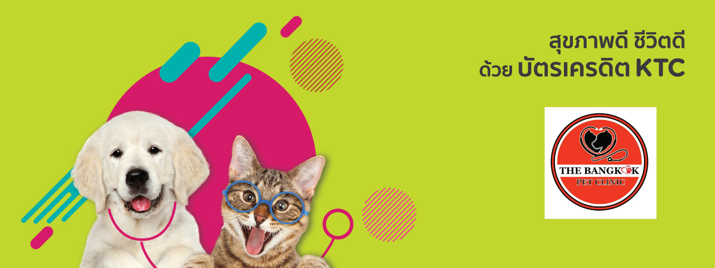 The Bangkok Pet Clinic Pet Hospital / Clinic