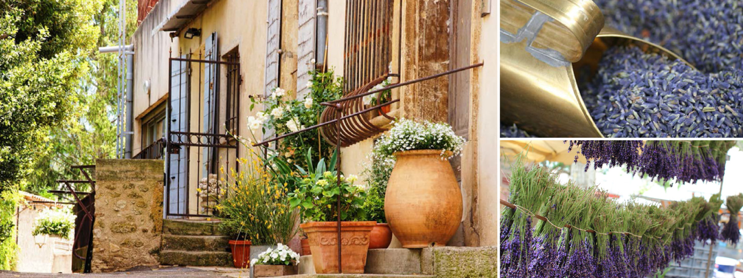 FRANCE CHARMING LAVENDER SURROUNDED