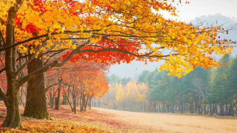 GANGWON-DO คังวอน เมืองรองสุดป๊อปแห่งเกาหลีใต้