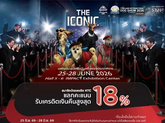 เคทีซีเผยยอดใช้จ่ายหมวดสัตว์เลี้ยงโต 12% มอบสิทธิพิเศษในงาน Thailand International Dog Show 2026  