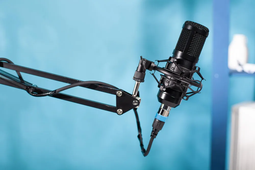 ไมค์อัดเสียงแบบไหนดี? เลือกให้ตรง Podcast, Vlog และไลฟ์ ไมค์อัดเสียงแบบไหนดี? เลือกให้ตรง Podcast, Vlog และไลฟ์