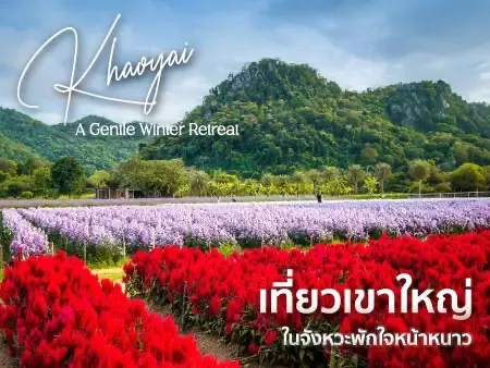 เขาใหญ่มีอะไรน่าเที่ยว? รวมแลนด์มาร์กธรรมชาติ คาเฟ่ ที่พัก ครบในทริปเดียว