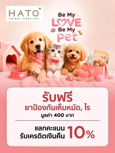 Hato Animal Hospital