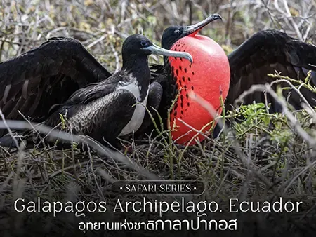 กาลาปากอส