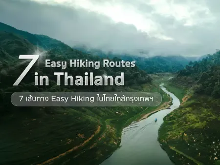 เส้นทางเดินป่า ไม่ยาก สำหรับมือใหม่ใกล้กรุงเทพ