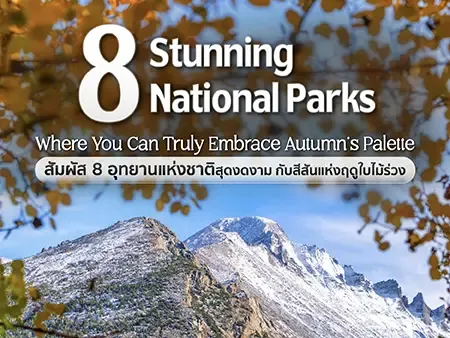 ฤดูใบไม้ร่วง อเมริกา 