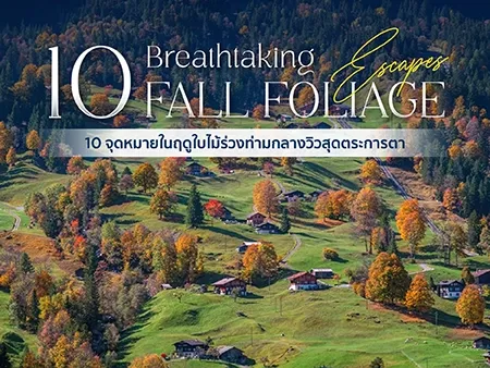 เที่ยวยุโรปฤดูใบไม้ร่วงที่ไหนดี? รวม 10 จุดชมใบไม้เปลี่ยนสี