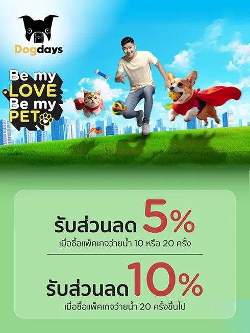 โปรโมชั่นพิเศษ ที่ Dogdaysbkk
