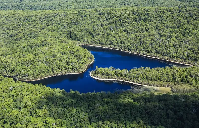 เที่ยวออสเตรเลีย, ที่เที่ยวออสเตรเลีย, เกาะเฟรเซอร์, fraser island เที่ยวออสเตรเลีย, ที่เที่ยวออสเตรเลีย, เกาะเฟรเซอร์, fraser island