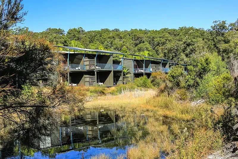 เที่ยวออสเตรเลีย, ที่เที่ยวออสเตรเลีย, เกาะเฟรเซอร์, fraser island เที่ยวออสเตรเลีย, ที่เที่ยวออสเตรเลีย, เกาะเฟรเซอร์, fraser island