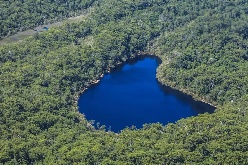 เที่ยวออสเตรเลีย, ที่เที่ยวออสเตรเลีย, เกาะเฟรเซอร์, fraser island เที่ยวออสเตรเลีย, ที่เที่ยวออสเตรเลีย, เกาะเฟรเซอร์, fraser island
