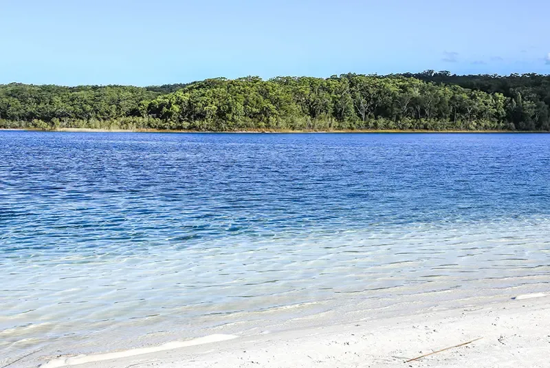 เที่ยวออสเตรเลีย, ที่เที่ยวออสเตรเลีย, เกาะเฟรเซอร์, fraser island เที่ยวออสเตรเลีย, ที่เที่ยวออสเตรเลีย, เกาะเฟรเซอร์, fraser island