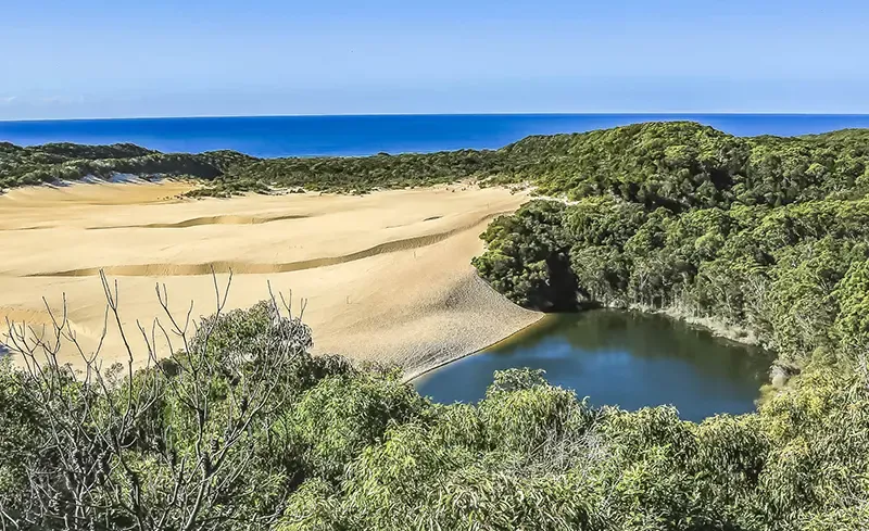 เที่ยวออสเตรเลีย, ที่เที่ยวออสเตรเลีย, เกาะเฟรเซอร์, fraser island เที่ยวออสเตรเลีย, ที่เที่ยวออสเตรเลีย, เกาะเฟรเซอร์, fraser island