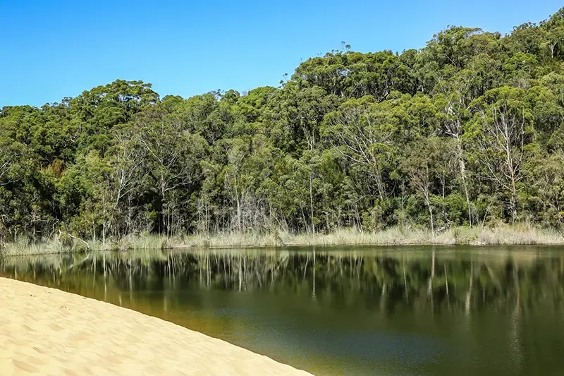 เที่ยวออสเตรเลีย, ที่เที่ยวออสเตรเลีย, เกาะเฟรเซอร์, fraser island เที่ยวออสเตรเลีย, ที่เที่ยวออสเตรเลีย, เกาะเฟรเซอร์, fraser island