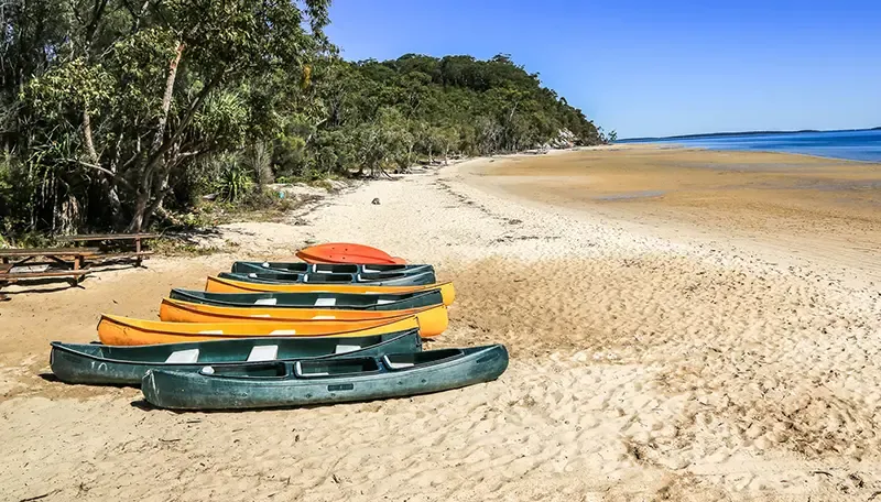 เที่ยวออสเตรเลีย, ที่เที่ยวออสเตรเลีย, เกาะเฟรเซอร์, fraser island เที่ยวออสเตรเลีย, ที่เที่ยวออสเตรเลีย, เกาะเฟรเซอร์, fraser island