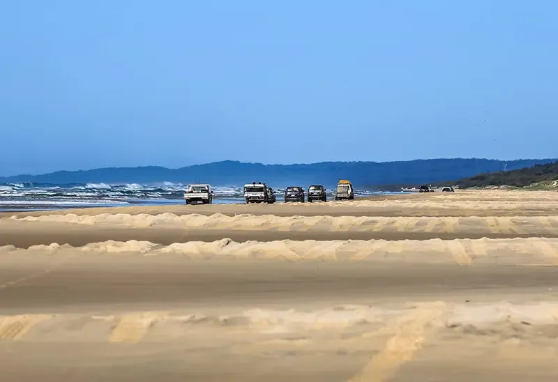 เที่ยวออสเตรเลีย, ที่เที่ยวออสเตรเลีย, เกาะเฟรเซอร์, fraser island เที่ยวออสเตรเลีย, ที่เที่ยวออสเตรเลีย, เกาะเฟรเซอร์, fraser island