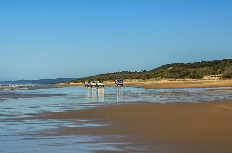 เที่ยวออสเตรเลีย, ที่เที่ยวออสเตรเลีย, เกาะเฟรเซอร์, fraser island เที่ยวออสเตรเลีย, ที่เที่ยวออสเตรเลีย, เกาะเฟรเซอร์, fraser island