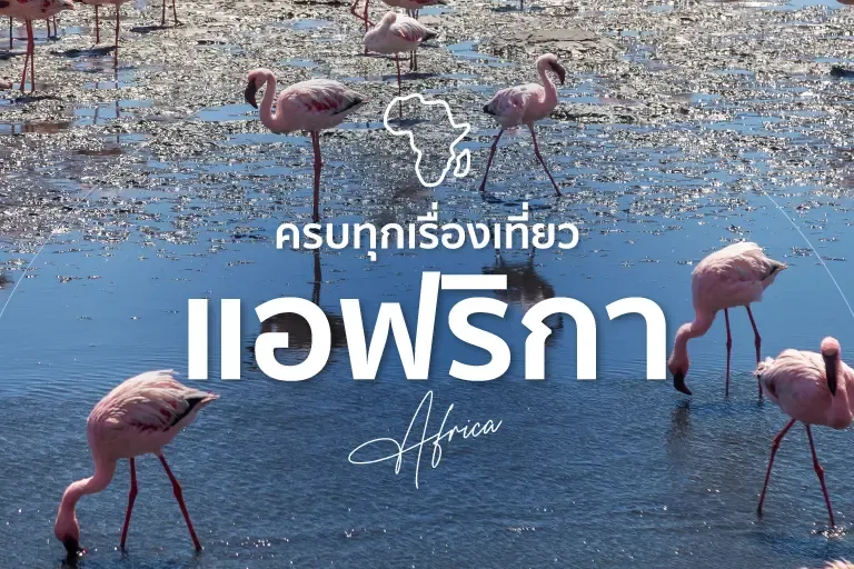 เที่ยวแอฟริกา