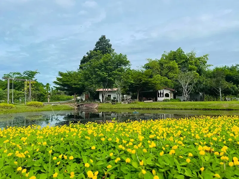 ที่เที่ยวนครนายก ที่เที่ยวนครนายก