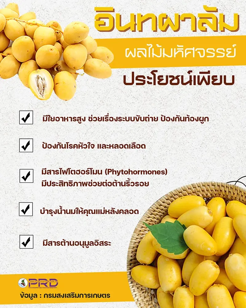 อินทผาลัม