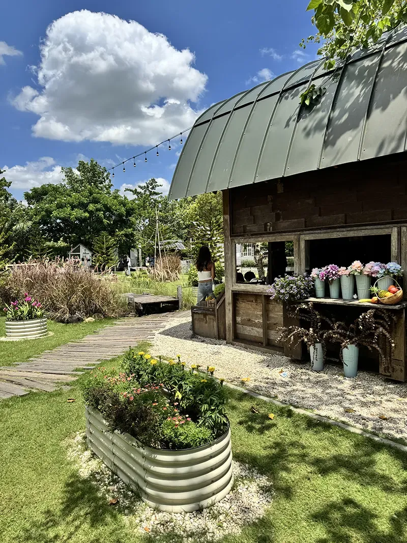 คาเฟ่นครนายก คาเฟ่นครนายก