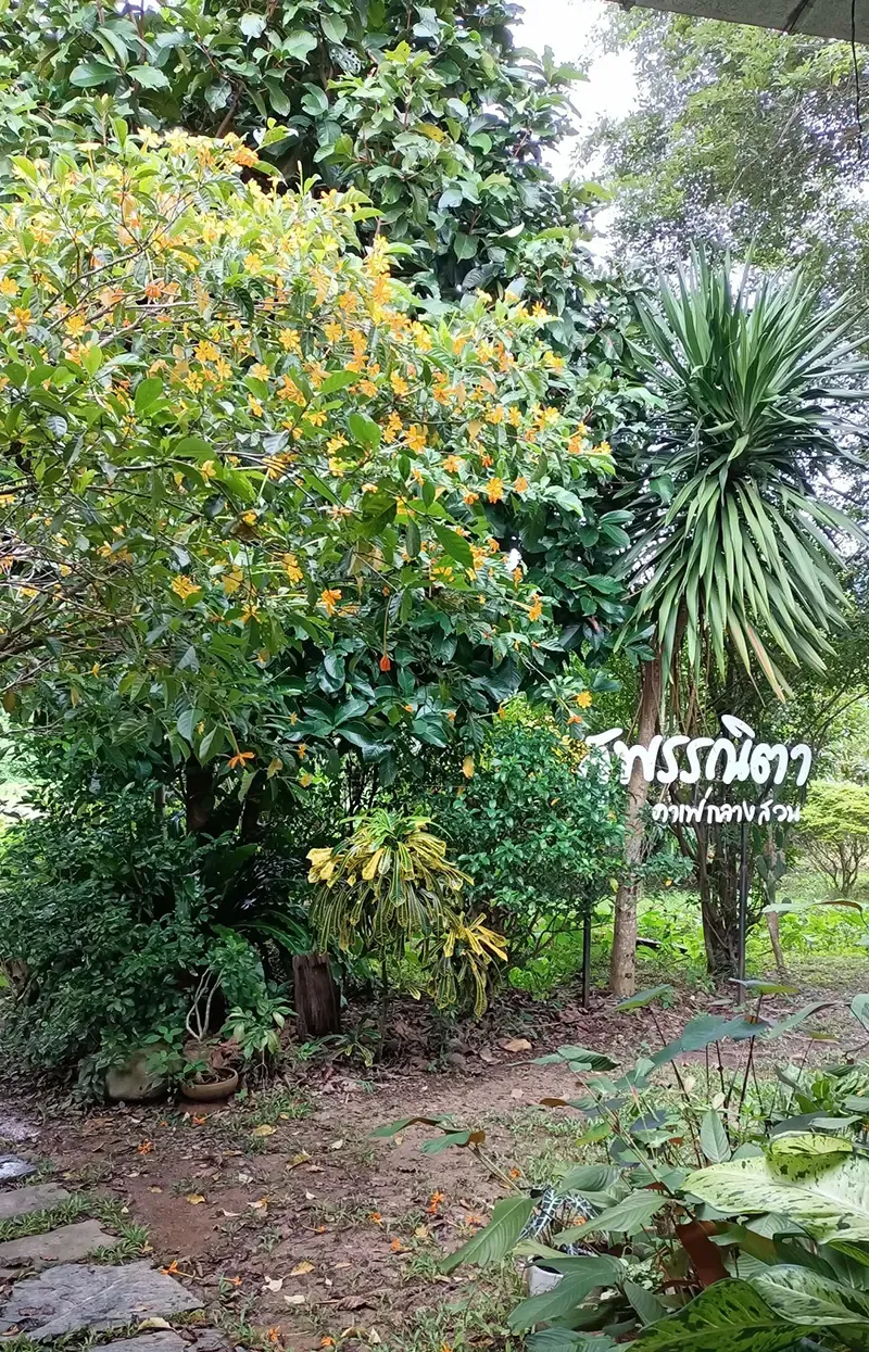 ที่เที่ยวนครนายก ที่เที่ยวนครนายก