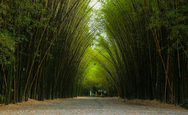 ที่เที่ยวนครนายก ที่เที่ยวนครนายก
