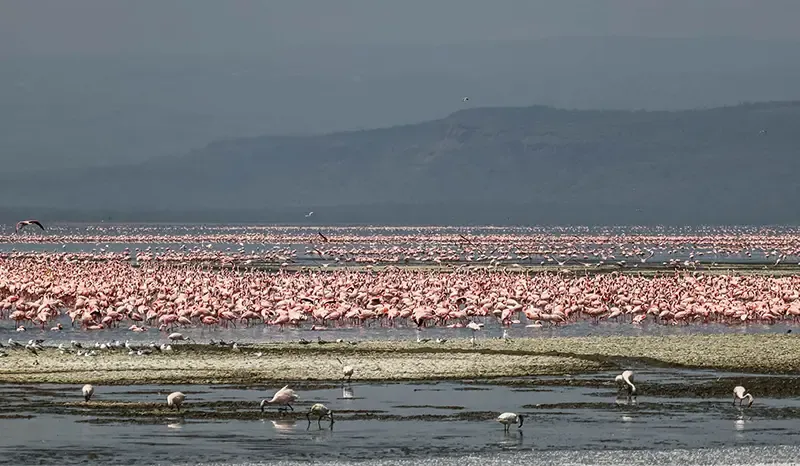 Lake Nakuru Lake Nakuru