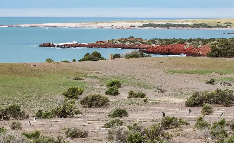 peninsula valdes, argentina, คาบสมุทรรวัลเดส peninsula valdes, argentina, คาบสมุทรรวัลเดส
