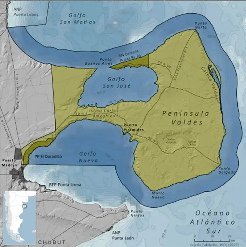 peninsula valdes, argentina, คาบสมุทรรวัลเดส peninsula valdes, argentina, คาบสมุทรรวัลเดส