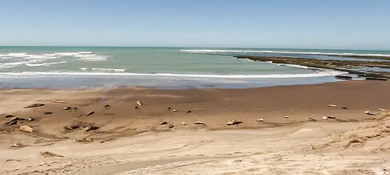 peninsula valdes, argentina, คาบสมุทรรวัลเดส peninsula valdes, argentina, คาบสมุทรรวัลเดส