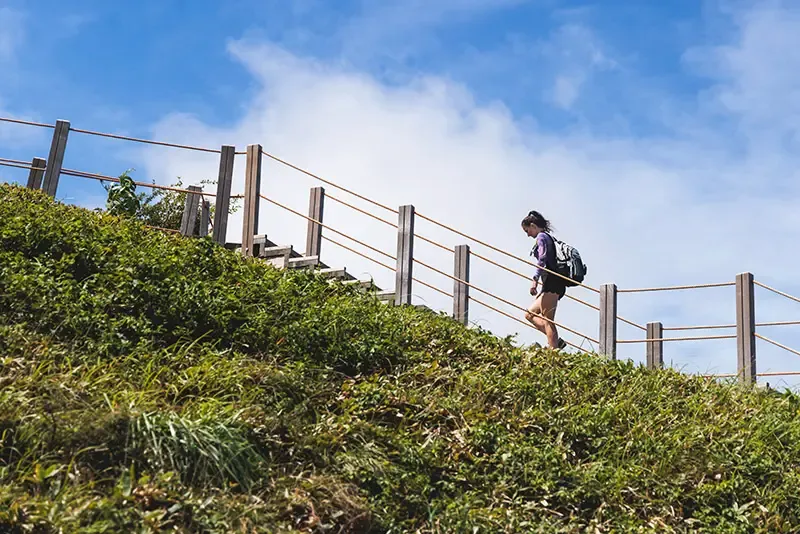 วิ่งเทรลเกาะเชจู วิ่งเทรลเกาะเชจู