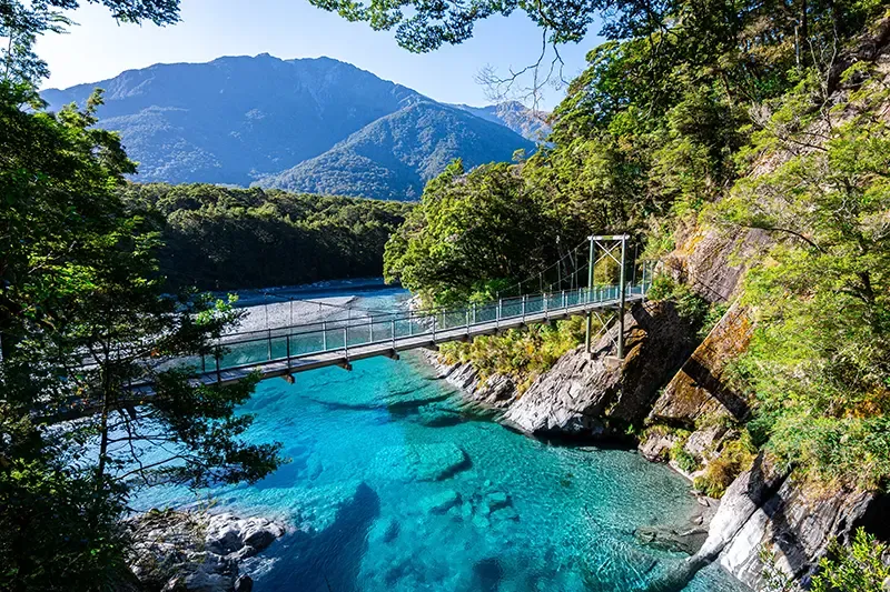 New Zealand Road Trip 