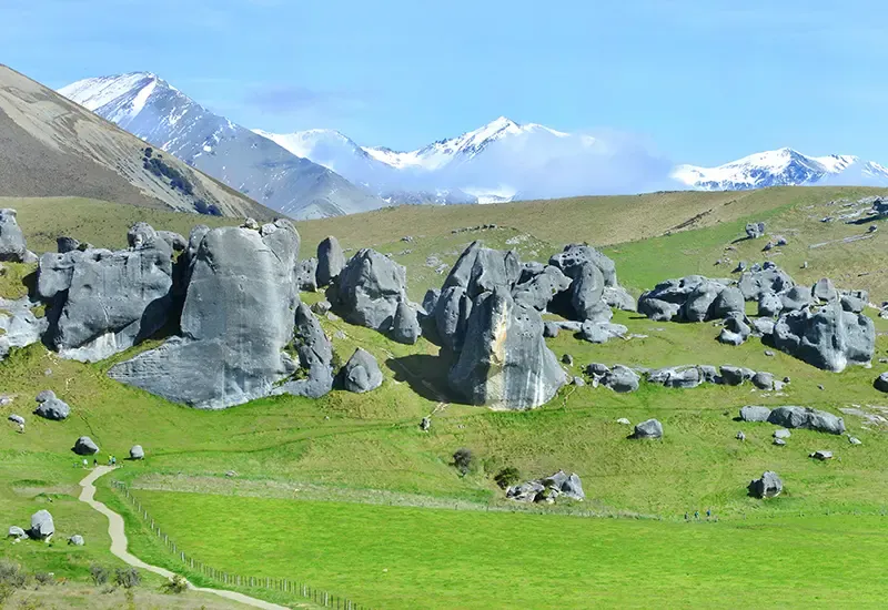 New Zealand Road Trip 
