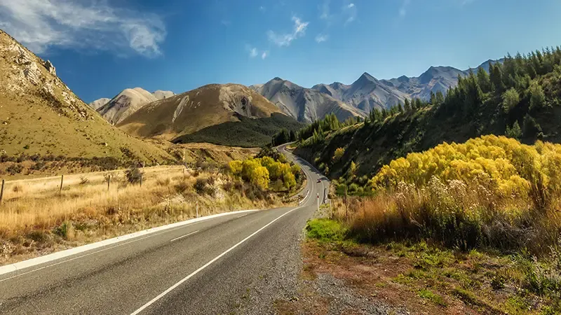 New Zealand Road Trip 