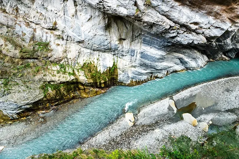 ใบไม้เปลี่ยนสีไต้หวัน ใบไม้เปลี่ยนสีไต้หวัน