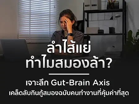 ลำไส้แย่ทำไมสมองล้า? เจาะลึก Gut-Brain Axis เคล็ดลับกินกู้สมองฉบับคนทำงานที่คุ้มค่าที่สุด