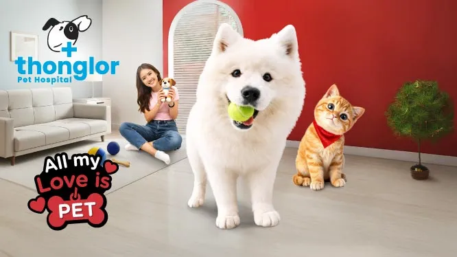 Thonglor Pet Hospital