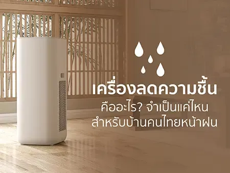 เครื่องลดความชื้นคืออะไร? จำเป็นแค่ไหนสำหรับบ้านคนไทยหน้าฝน