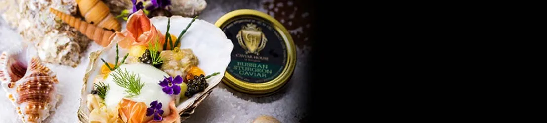 <div class="payload-richtext"></div>