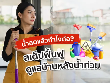 น้ำลดแล้วทำไงต่อ? 7 สเต็ปฟื้นฟู ดูแลบ้านหลังน้ำท่วม