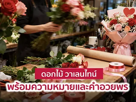 15 ดอกไม้ วาเลนไทน์ พร้อมความหมายและคำอวยพรไว้ใช้ในปี 2026 