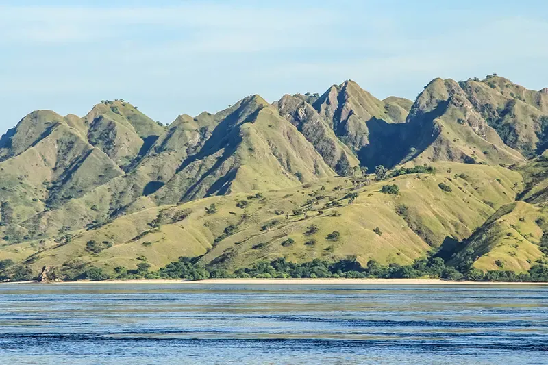 Komodo island Komodo island