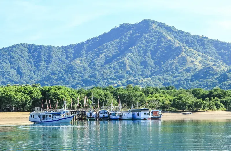 Komodo island Komodo island