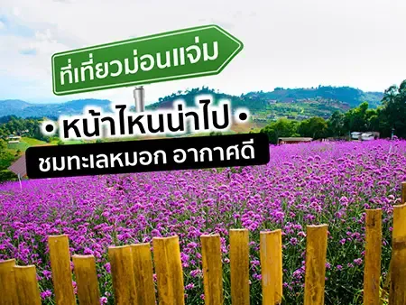 ที่เที่ยวม่อนแจ่ม