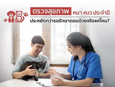 ตรวจสุขภาพ หมา แมว ประจำปี ประหยัดกว่ารอรักษาตอนป่วยจริงแค่ไหน?