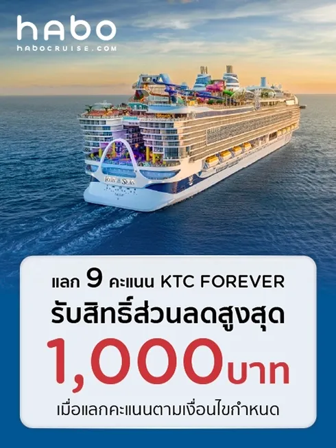 Point to Travel x HABO CRUISE