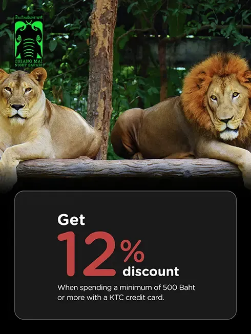 เชียงใหม่ไนท์ซาฟารี Chiang Mai Night Safari เชียงใหม่ไนท์ซาฟารี Chiang Mai Night Safari